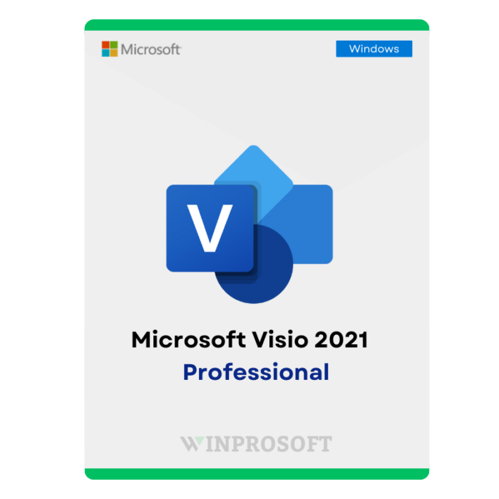 Microsoft Visio 2021 Professional