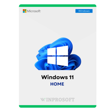 Microsoft Windows 11 Home
