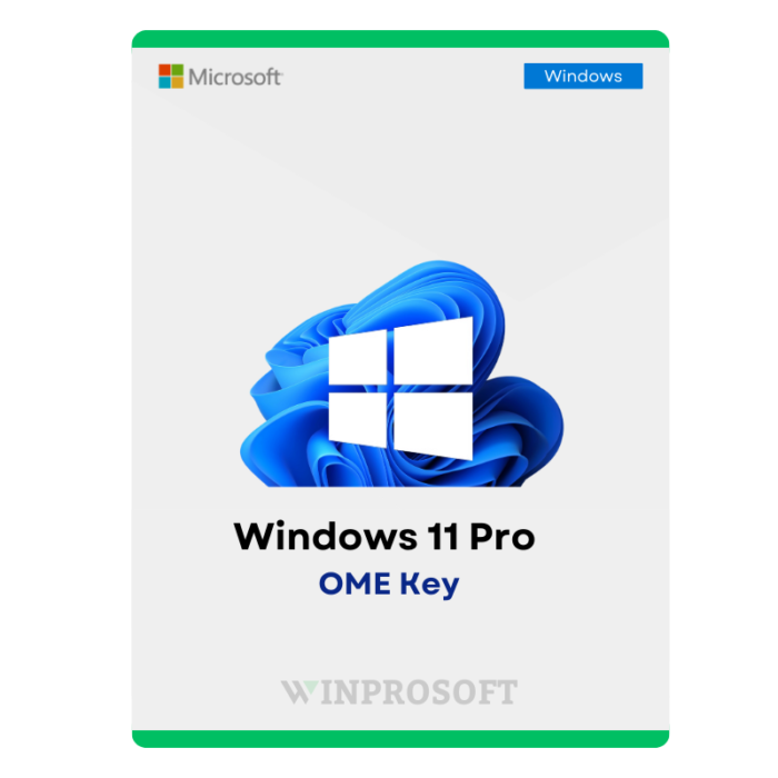 Windows 11 Professional OME Key